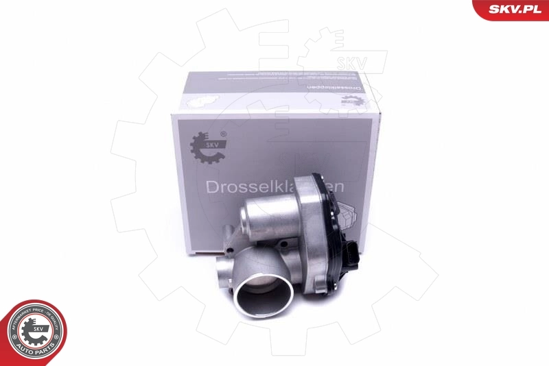Throttle Body